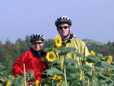 Mot and Ness standing amongst sunflowers