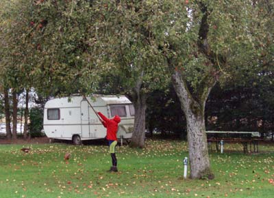 Ness poking tree with stick